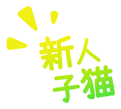 �V�l�q�L